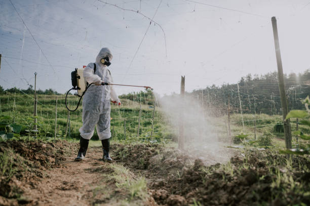 Best Best Pest Control Companies  in Burlington, KY
