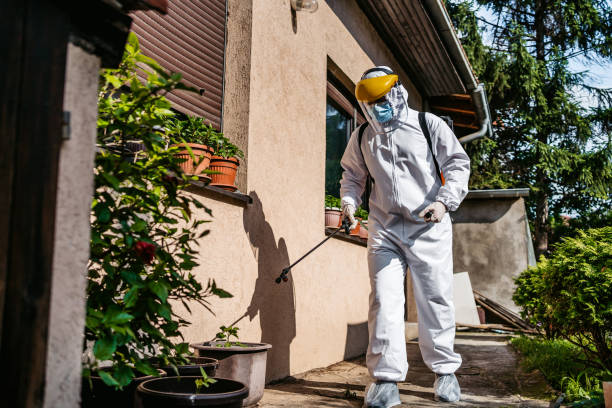 Best Pest Removal Services  in Burlington, KY
