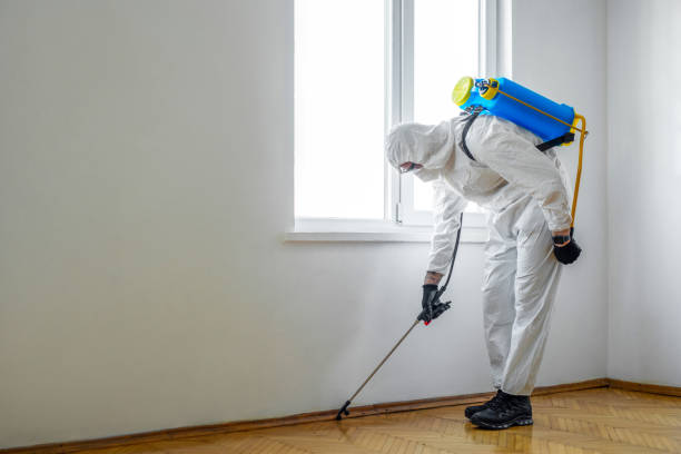 Best Ant Control Services  in Burlington, KY